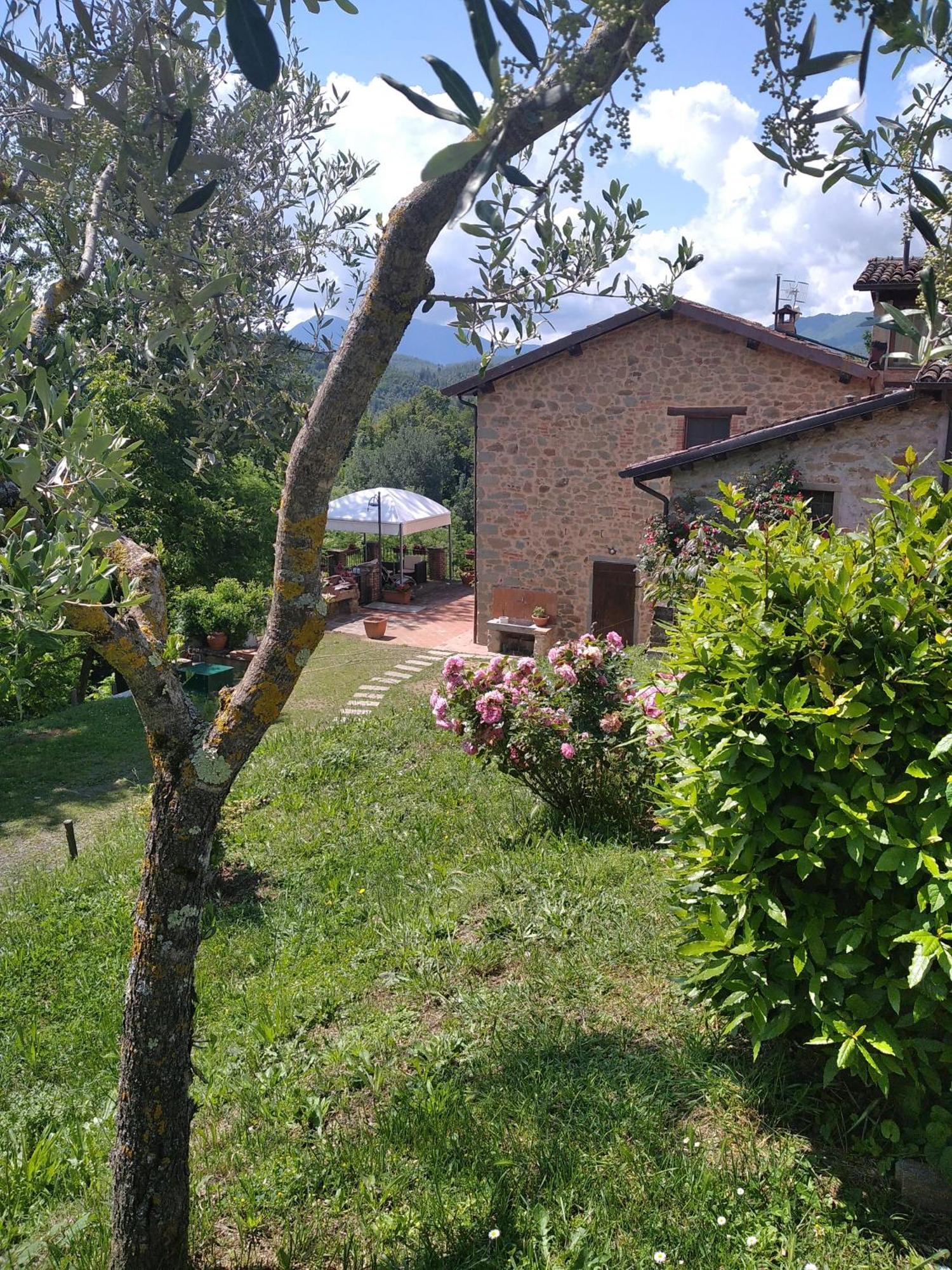Villa Belvedere Pieve Fosciana Exterior foto